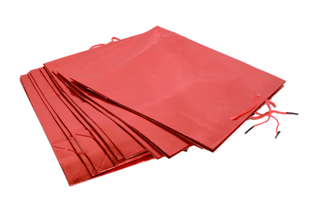 BOLSA DE REGALO HOLOGRAMA  No.3 GRUESA []