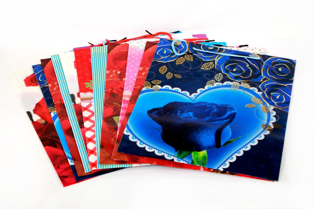 BOLSA DE REGALO PP 24*18*7 CM PLASTICA No.2 [PAC80005-4140]