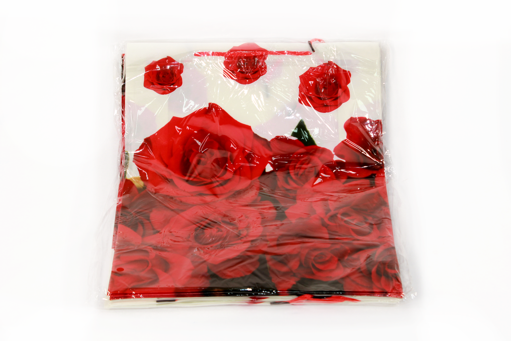 BOLSA DE REGALO PP 33*27*9 CM PLASTICA No.4 [PAC80007-4142]