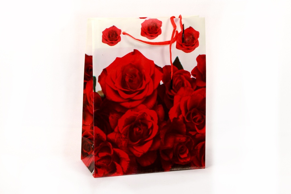 BOLSA DE REGALO TRASLUCIDA 24*18*7 CM PLASTICA No.2 [PAC80010-4145]