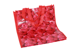 [HO1921] BOLSA DE MERCADO  (25"X21") [PAC30209-1921]